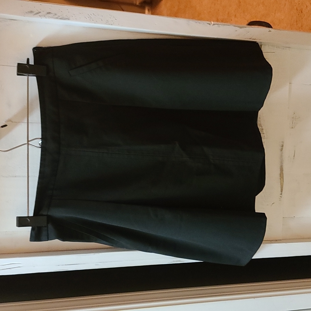 The Limited a line skirt